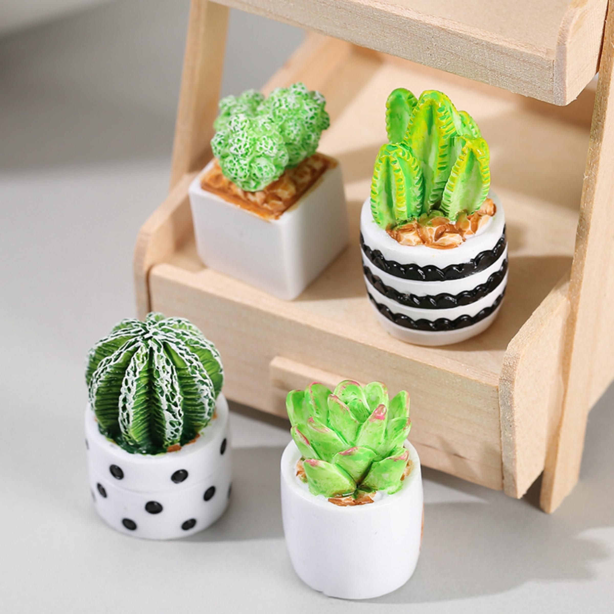 Echeveria Succulent - Набор из 4-х миниатюрных суккулентов в