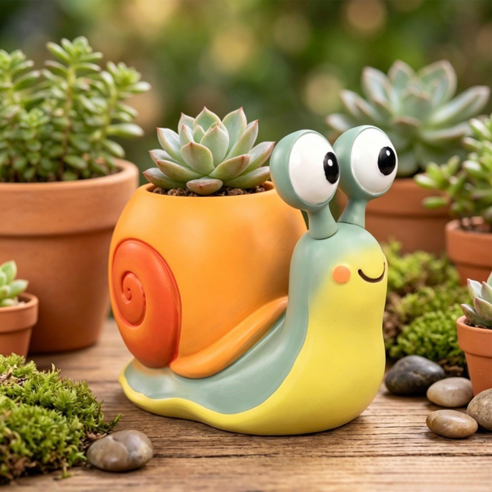 Кашпо в форме улитки, подставк – обзор и цена Echeveria Succulent