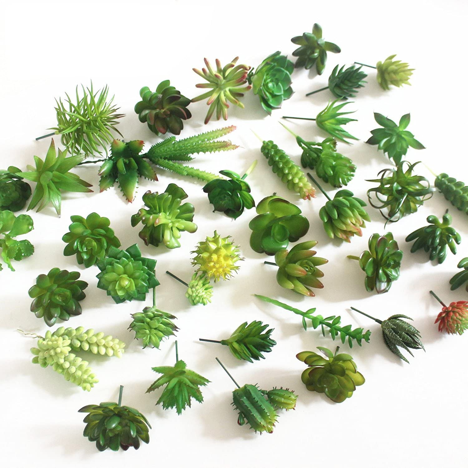 15 шт., Декоративные искусстве – обзор и цена Echeveria Succulent