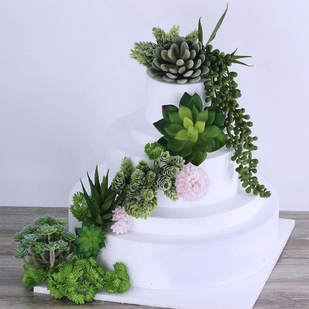 15 шт., Декоративные искусстве – обзор и цена Echeveria Succulent