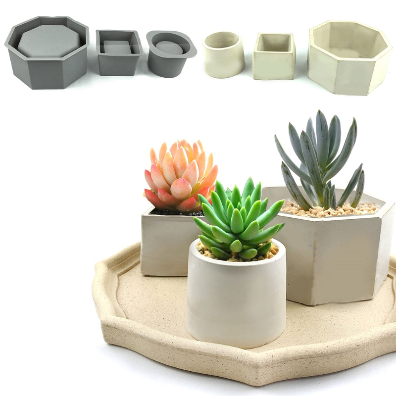 Цветочный горшок ручной работы – обзор и цена Echeveria Succulent