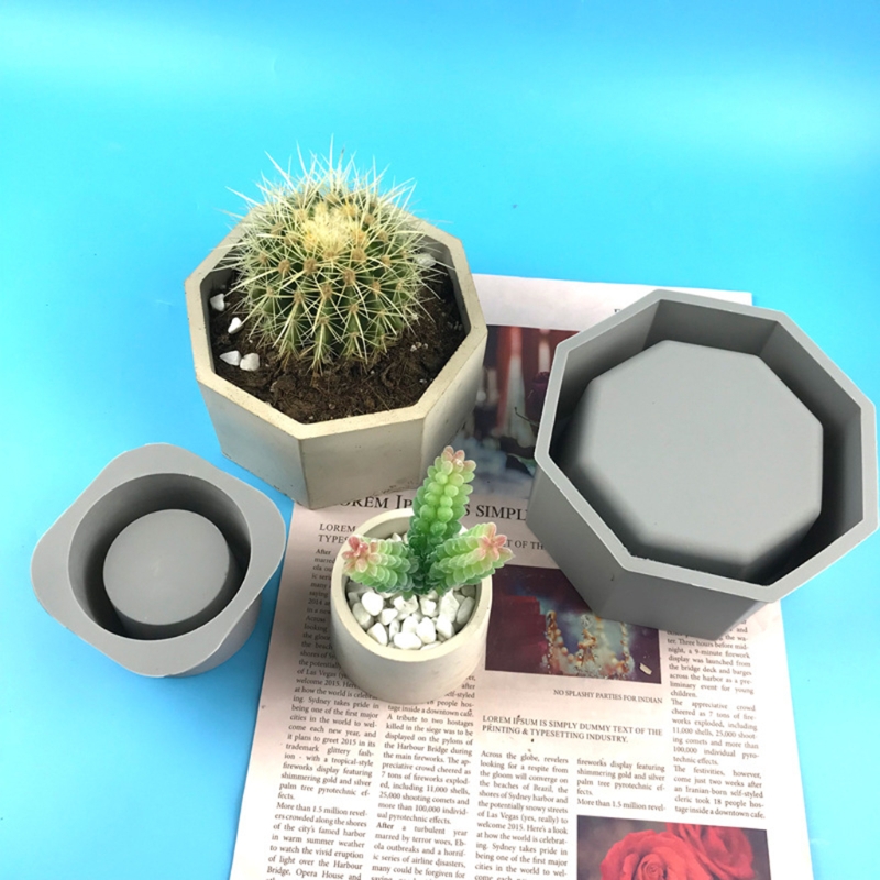Цветочный горшок ручной работы – обзор и цена Echeveria Succulent