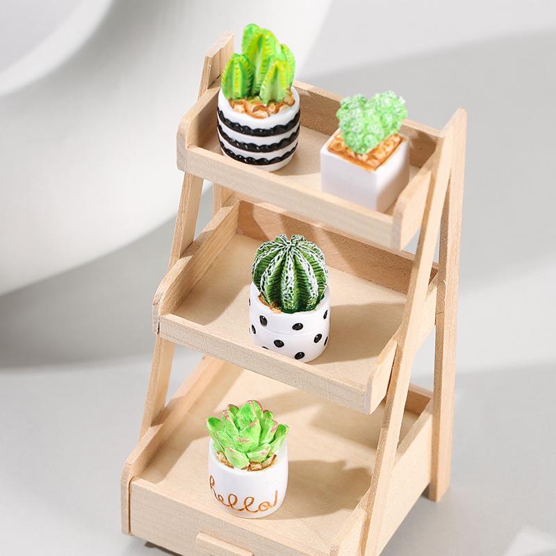 Набор из 4-х миниатюрных сукку – обзор и цена Echeveria Succulent